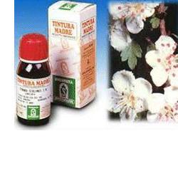 BIANCOSPINO 10 50ML TM - UniversoFarmacie.it
