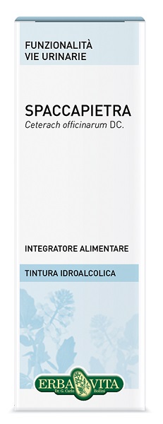 SPACCAPIETRA TINTURA IDROALCOLICA 50 ML EBV - UniversoFarmacie.it