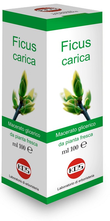 FICUS CARICA MACERATO GLICERICO 100 ML - UniversoFarmacie.it