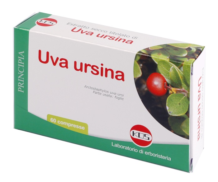 UVA URSINA ESTRATTO SECCO 60 COMPRESSE - UniversoFarmacie.it