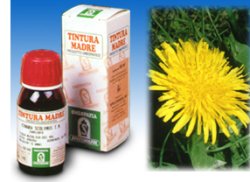 TARASSACO 28 50ML TM - UniversoFarmacie.it
