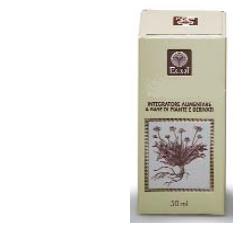 GINKGO BILOBA ESTRATTO ANALCOLICO 50 ML - UniversoFarmacie.it
