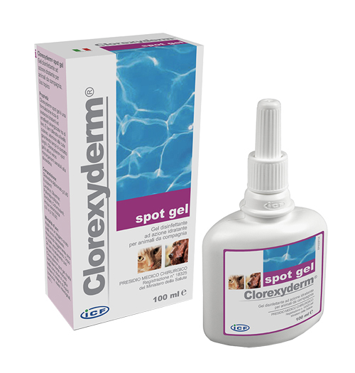 CLOREXYDERM SPOT GEL 100 ML - UniversoFarmacie.it