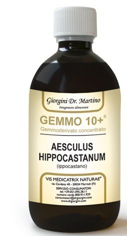 GEMOO 10+ GEMMODERIVATO CONCENTRATO IPPOCASTANO LIQUIDO ANALCOLICO AESCULUS HIPPOCASTANUM IPPOCASTANO 500 ML - UniversoFarmacie.it
