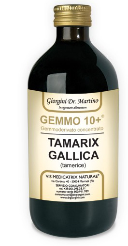 GEMMO 10+ GEMMODERIVATO CONCENTRATO LIQUIDO ANALCOLICO TAMARIX GALLICA TAMERICE 500 ML - UniversoFarmacie.it