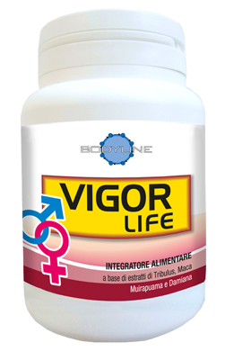VIGOR LIFE 40 CAPSULE - UniversoFarmacie.it