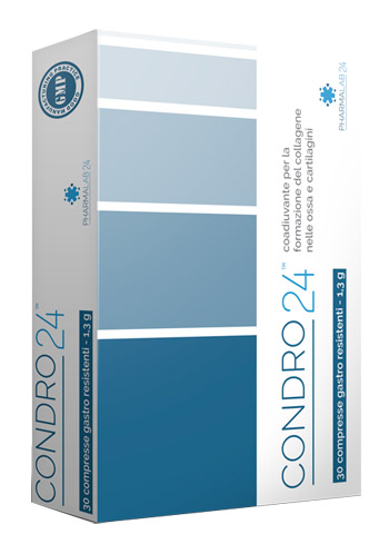 CONDRO24 30 COMPRESSE - UniversoFarmacie.it