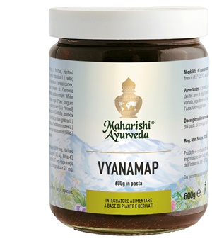 VYANAMAP PASTA 600 G - UniversoFarmacie.it