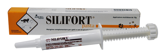 SILIFORT PASTA OS SIRINGA 15 G - UniversoFarmacie.it