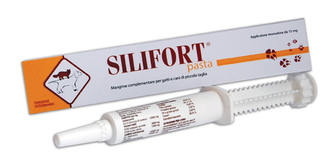 SILIFORT PASTA OS SIRINGA 30 G - UniversoFarmacie.it