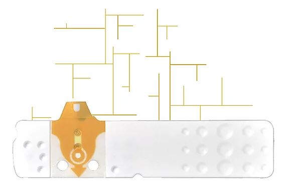 STRISCE MISURAZIONE GLICEMIA LINEA D ORO 25 PEZZI - UniversoFarmacie.it