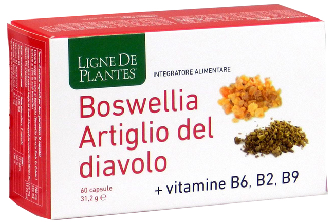 BOSWELLIA ARTIGLIO DIAVOLO VITAMINE B2 B6 B9 60 CAPSULE - UniversoFarmacie.it