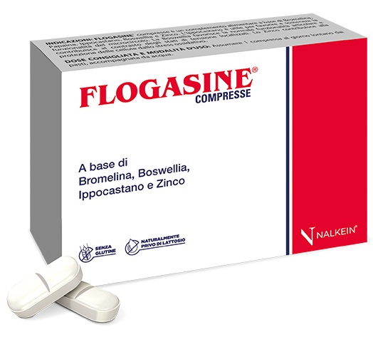 FLOGASINE 20 COMPRESSE - UniversoFarmacie.it