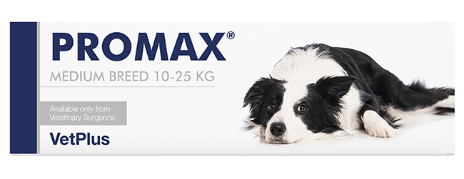 PROMAX MEDIUM BREED 18 ML - UniversoFarmacie.it