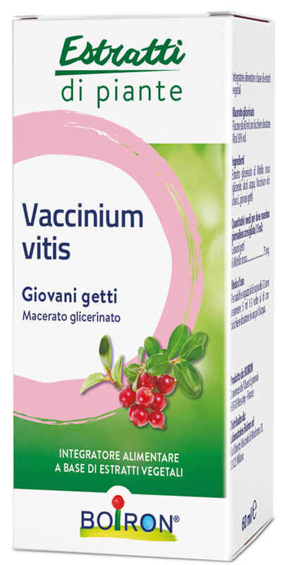VACCINIUM VITIS MACERATO GLICERICO 60 ML - UniversoFarmacie.it