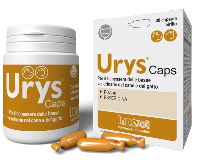 URYS CAPS 30 CAPSULE - UniversoFarmacie.it