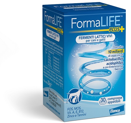 FORMALIFE PLUS FERMENTI LATTICI VIVI 30 COMPRESSE APPETIBILI - UniversoFarmacie.it